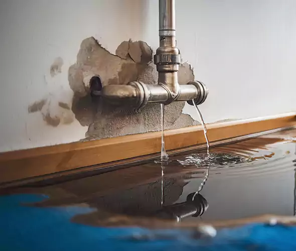 Professional Water Damage Restoration Experts in Boynton Beach, FL — Fast, Reliable & Certified