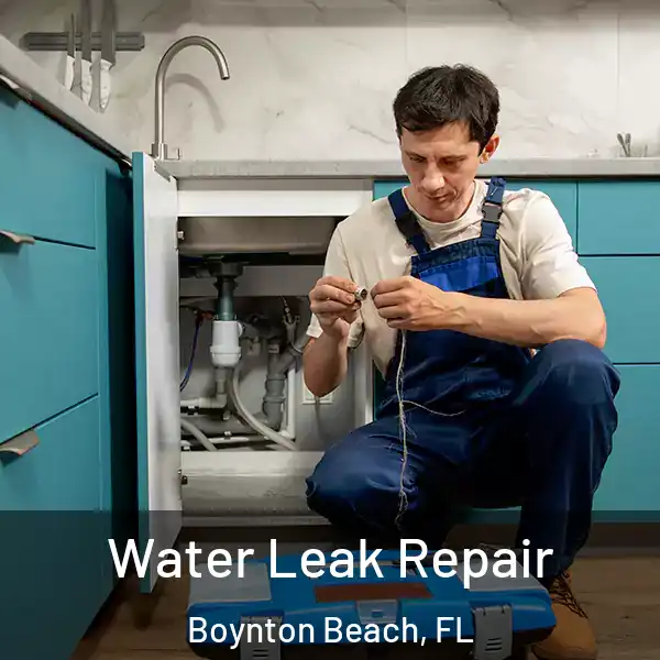  Water Leak Repair Boynton Beach, FL